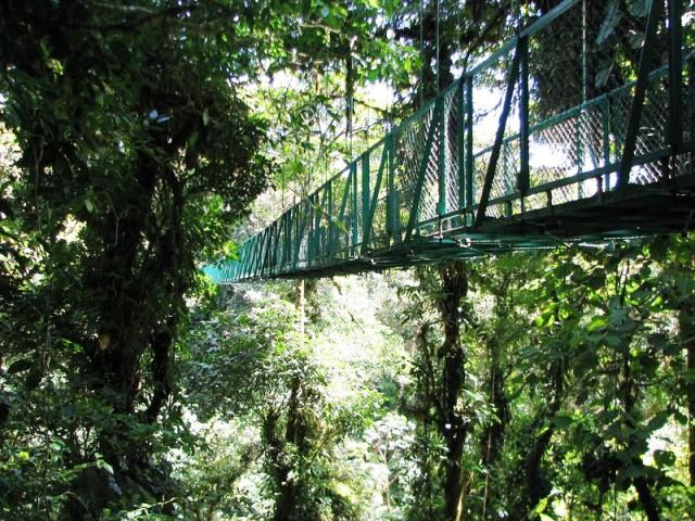 enchantings-luxurious-ecohotel-in-monteverde