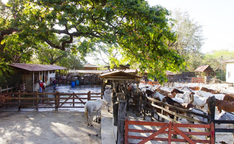 horse-corrals-at-hotel-hacienda-guachipelin