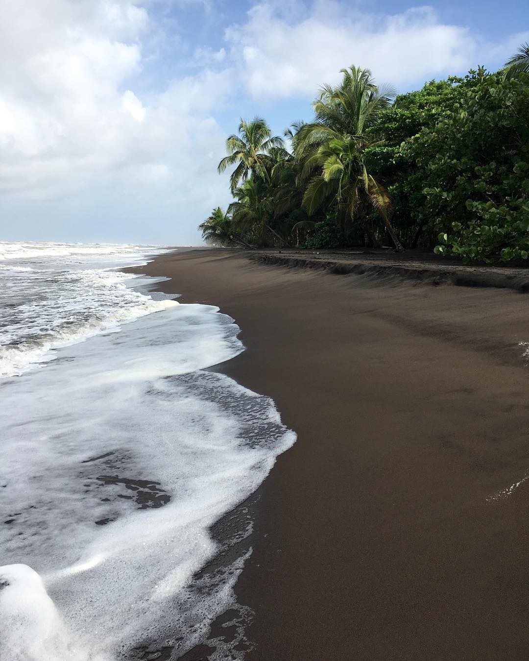 The-quest-to-reach-and-the-connection-to-tortuguero