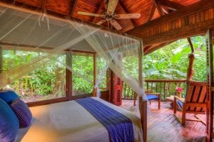 travel-that-gives-back-how-your-stay-at-nicuesa-protects-165-acres-of-rainforest