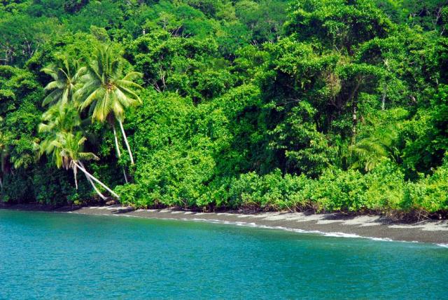 5-reasons-to-visit-the-golfo-dulce-in-the-green-season