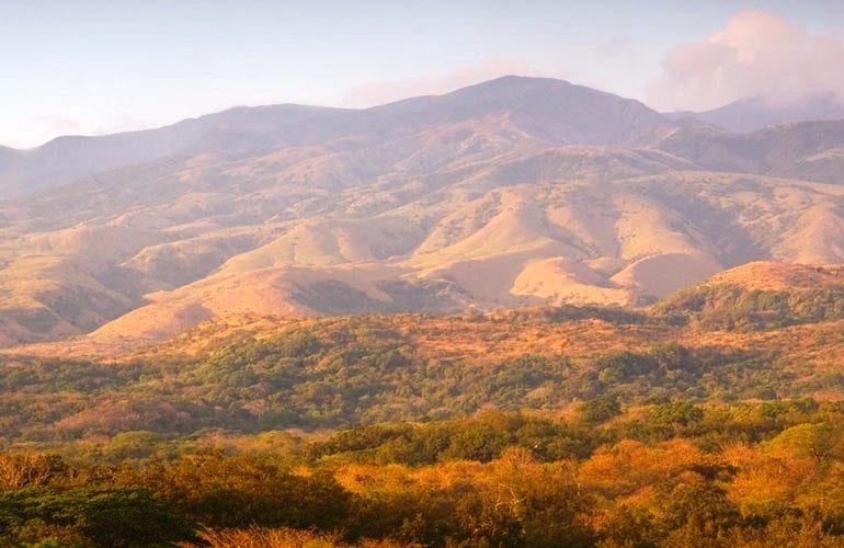 Why the dry tropical forest in Guanacaste, Costa Rica is so amazing ...