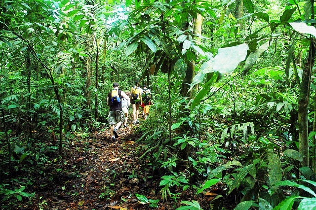 an-unforgettable-family-vacation-in-the-costa-rican-rainforest