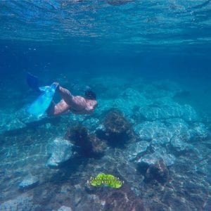 Golfo-Dulce's-Underwater-Wonderland-A-Dive-into-Coral-Reef-Biodiversity