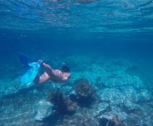 discover-the-nicuesa-lifestyle-adventure-and-conscious-travel-in-costa-ricas-golfo-dulce