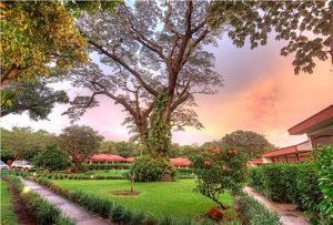 guanacaste-culture-at-hacienda-guachipelin