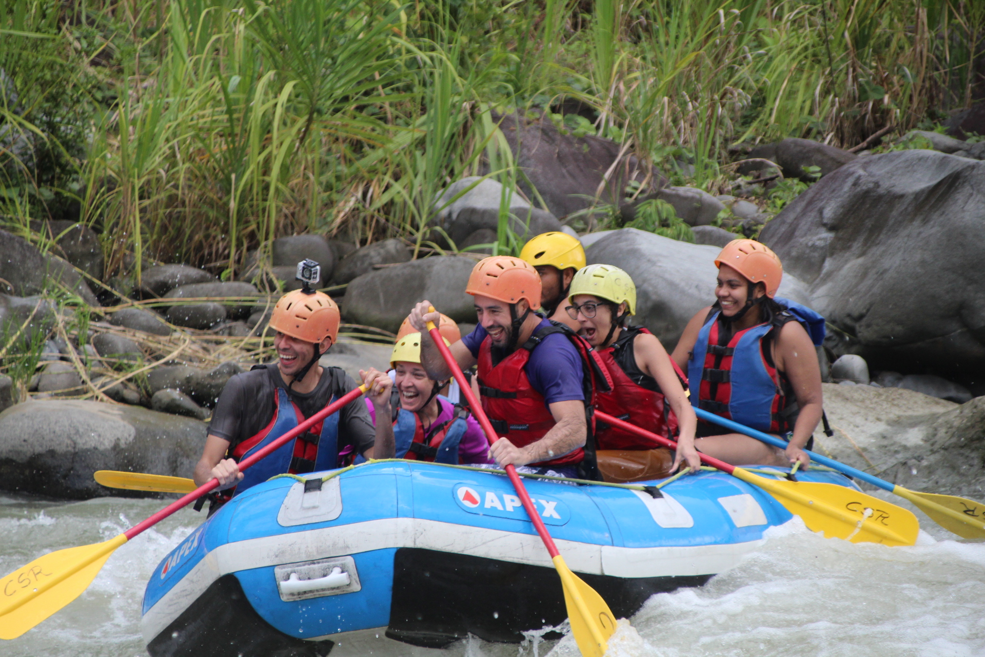 planet dolphin catamaran tour costa rica