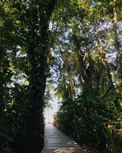 costa-rica-best-nature-destination-enchanting-hotels