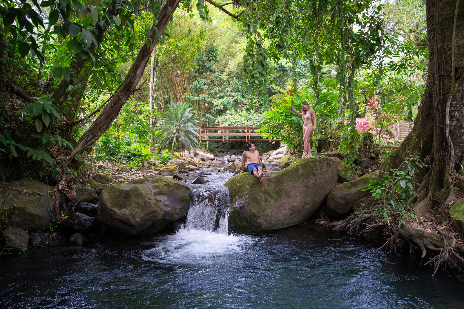 Chachagua Rainforest Hotel & Hot Springs: A New Enchanting Escape in Costa Rica’s Rainforest