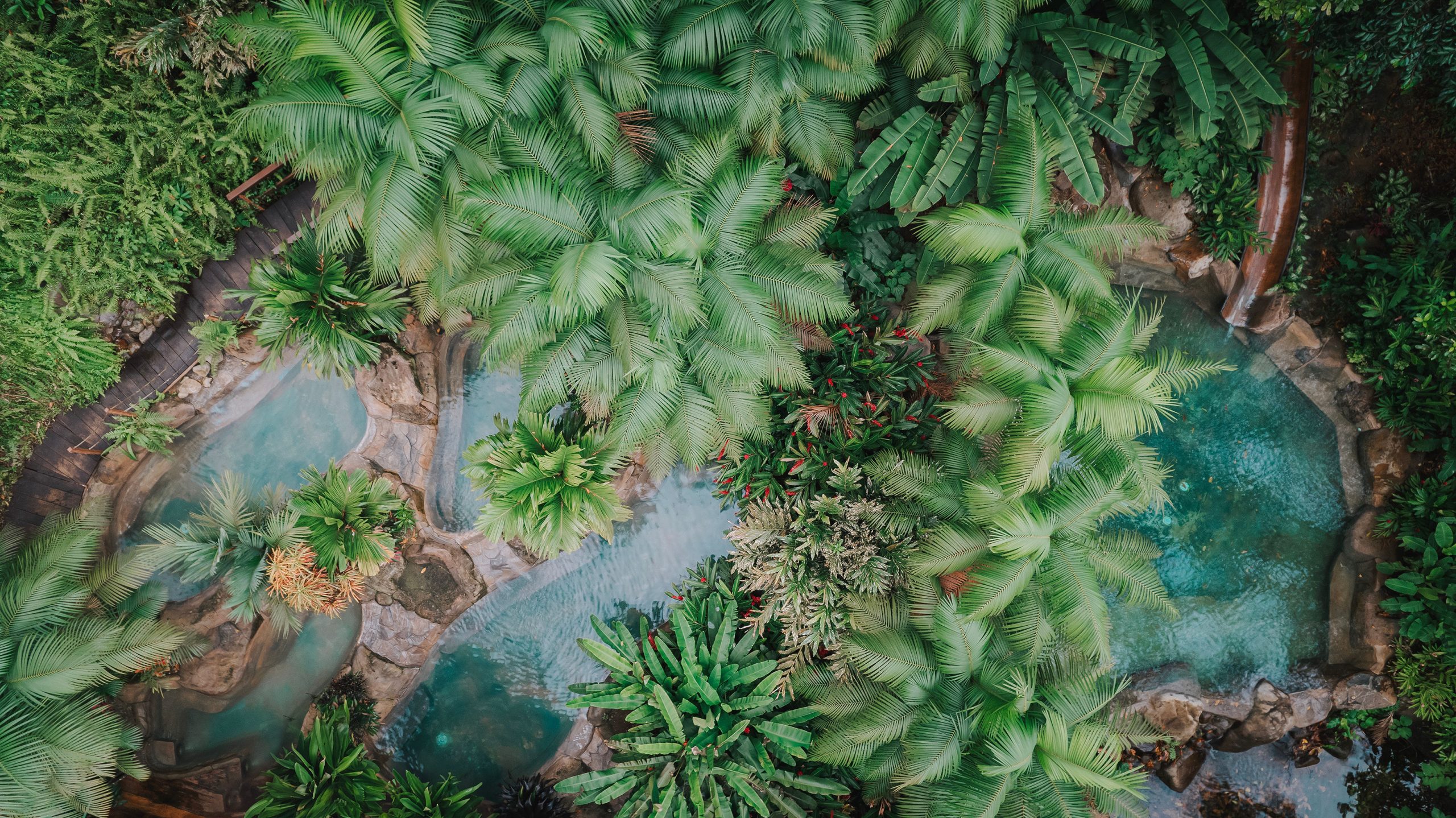 chachagua-rainforest-hotel-hot-springs-a-new-enchanting-escape-in-costa-ricas-rainforest