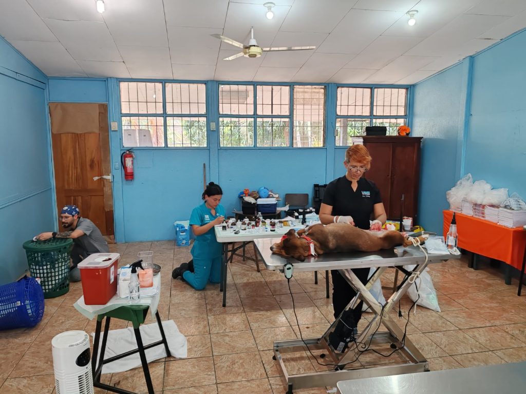 Hacienda Guachipelin animal welfare campaign supporting dogs, cats, families, and wildlife conservation in Curubandé, Guanacaste